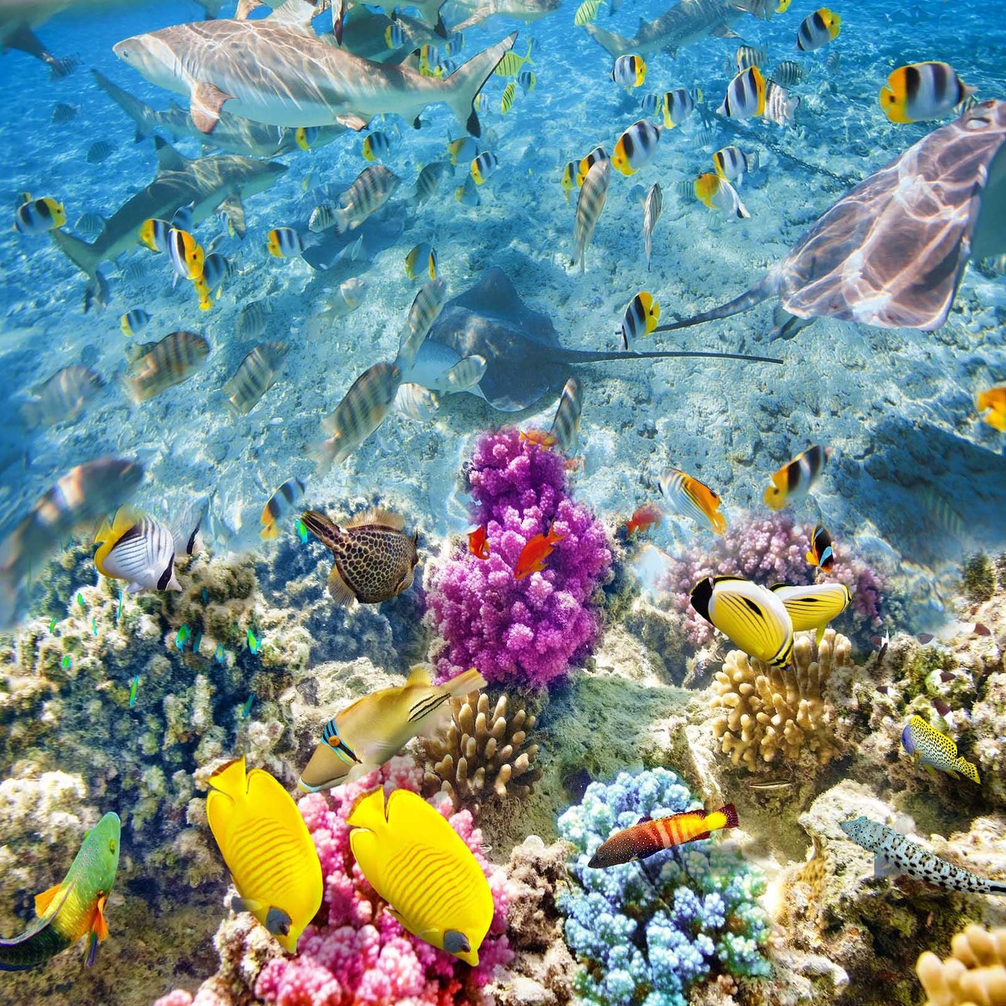 3D Blue Seabed Coral Fish Quilt Cover Set Bedding Set Pillowcases 79