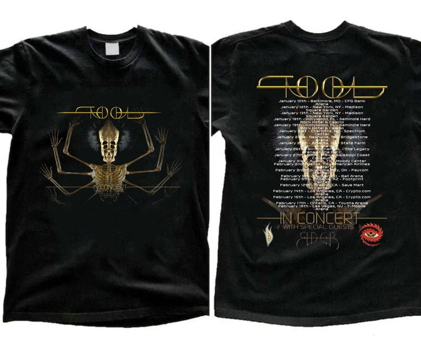 Tool 2024 Concert Shirt