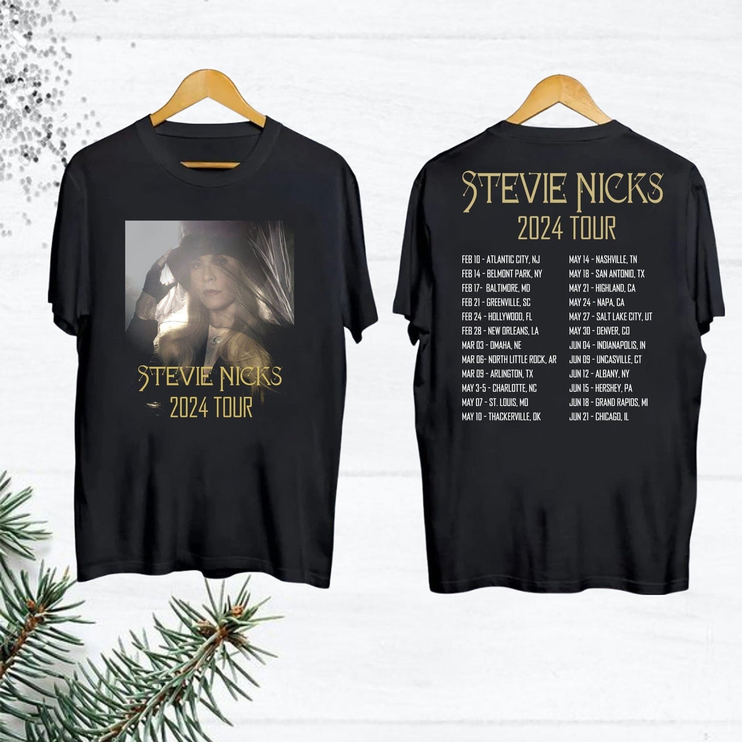 Stevie Nicks 2024 Live In Concert T-Shirt, Vintage Stevie Nicks Shirt