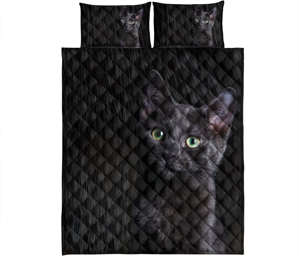 Black Cat,Cat Quilt Set, Black Cat Fur Quilt Blanket With Pillowcases, Quilt Bedding Set