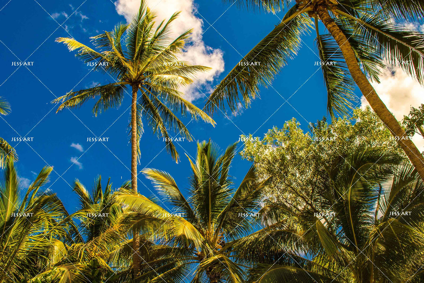 3D Blue Sky Coconut Tree Quilt Cover Set Bedding Set Pillowcases 46