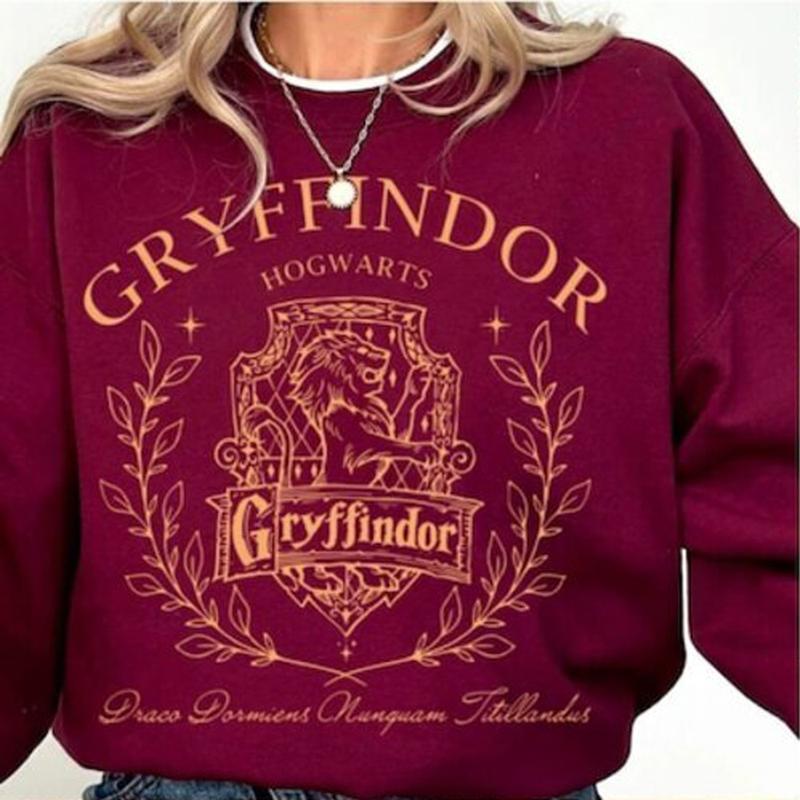 Vintage Wizard House Sweatshirts, Hogwarts House Sweatshirt, HP Wizard School Shirt, Potter Sweater Gift, Harry Magic, Universal Studios Fan
