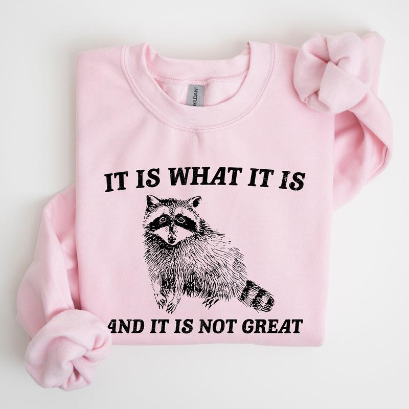 It Is What It Is And It Is Not Great, Raccoon, Trash Panda, Funny, Meme, Sweatshirt