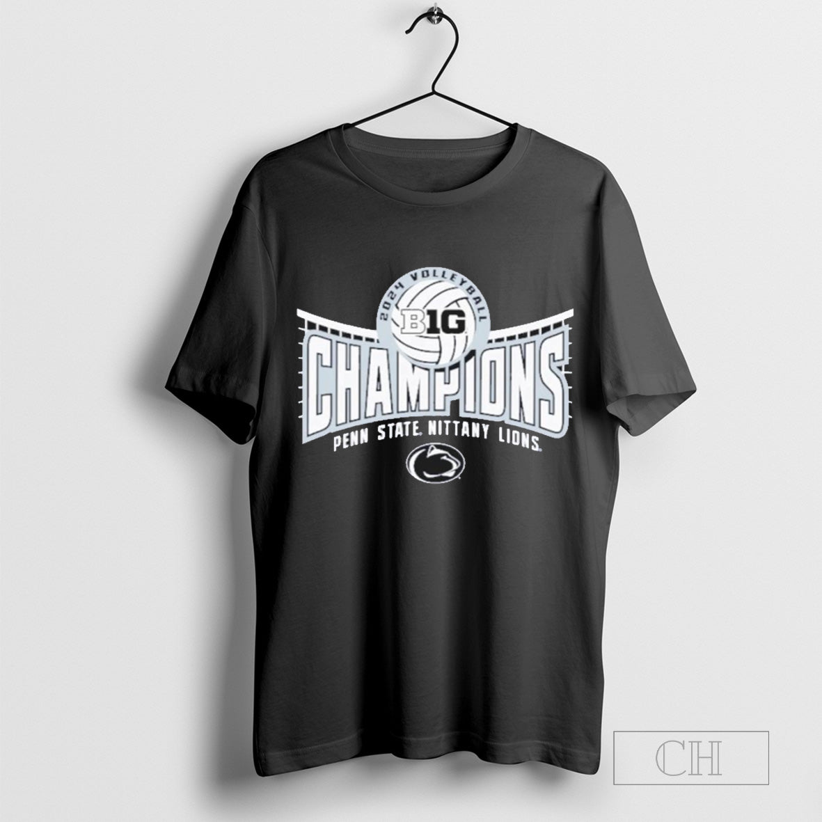 Penn State Nittany Lions 2024 Big Ten Women’s Volleyball Regular Season Champions T-Shirt