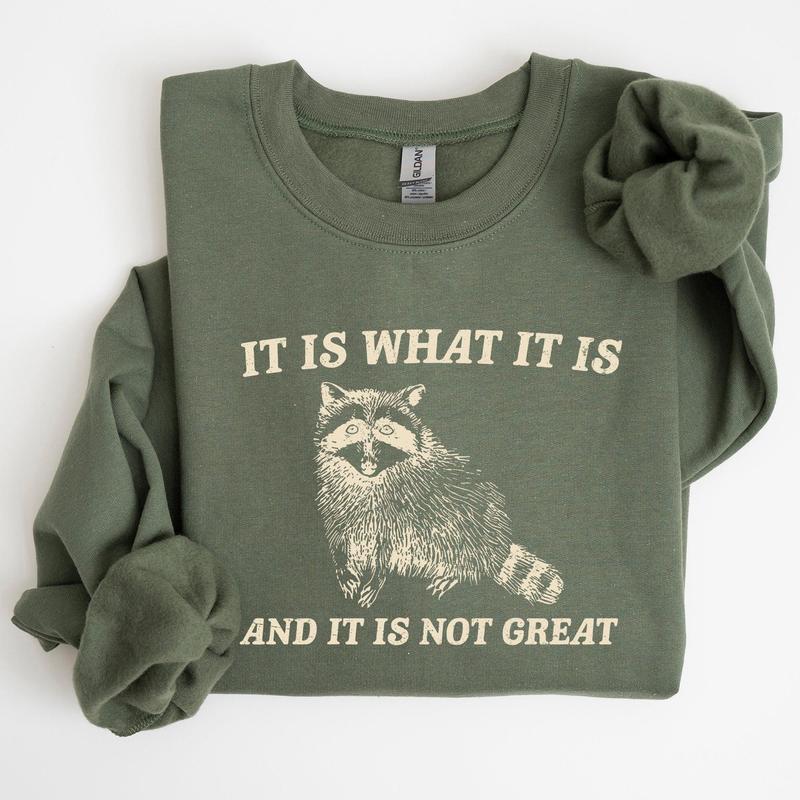 It Is What It Is And It Is Not Great, Raccoon, Funny, Aesthetic Sweatshirt