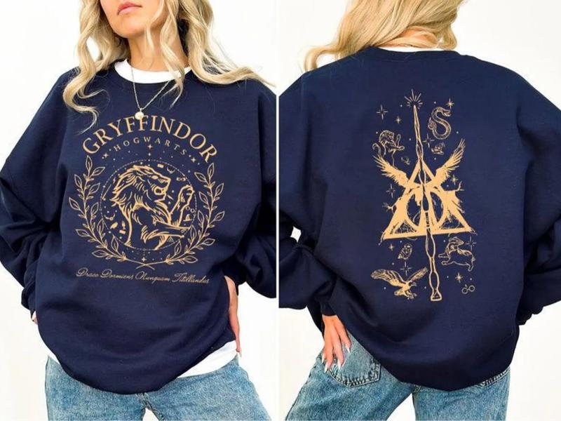 Hogwarts School Wizard Sweatshirt, Wizard World Tee Shirt, Forbidden Forest Sweater, Gift For HP Fans