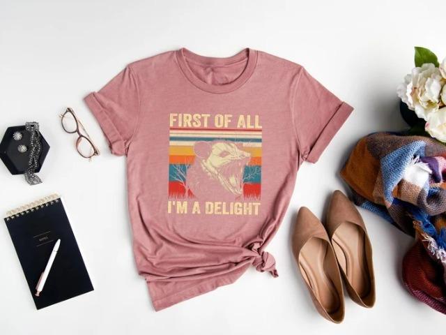 First Of All I'm A Delight T-shirt, Sarcastic Opossum Lover Tee, Funny Possum Shirt, Sarcastic Self-Love Apparel, Humorous Saying Tee, Gift for Him, G