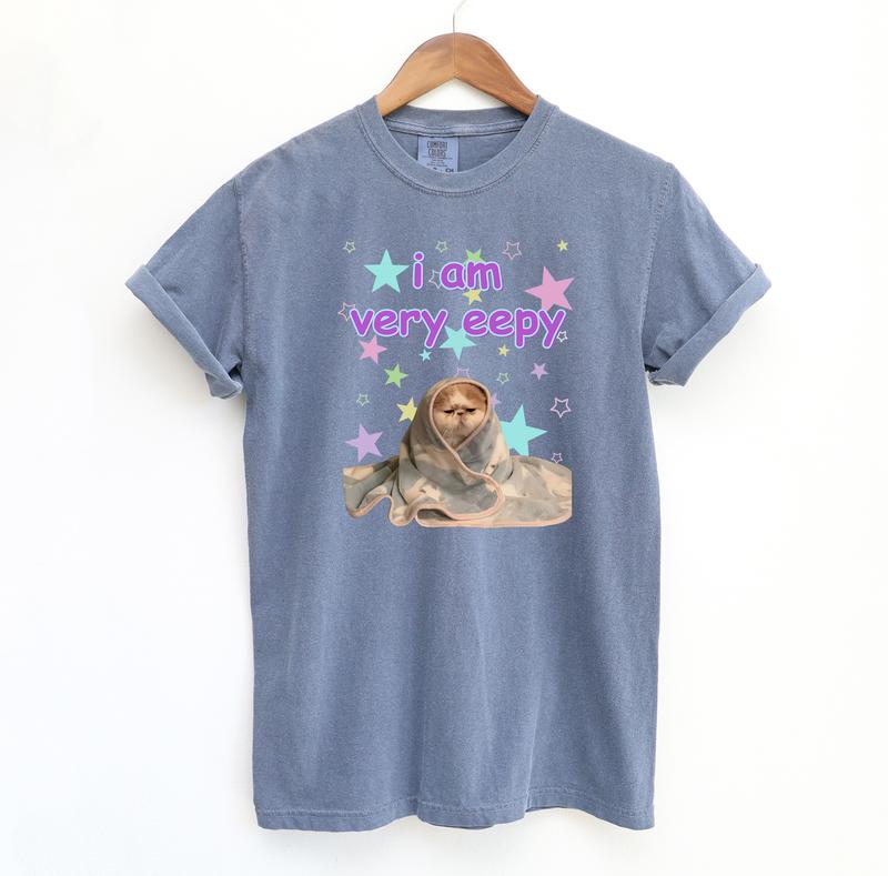 eepy Cat Funny Shirt, Meme Comfort Colors T-Shirt