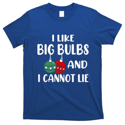 I Like Big Bulbs And I Cannot Lie Xmas Couples Matching Gift T-Shirt