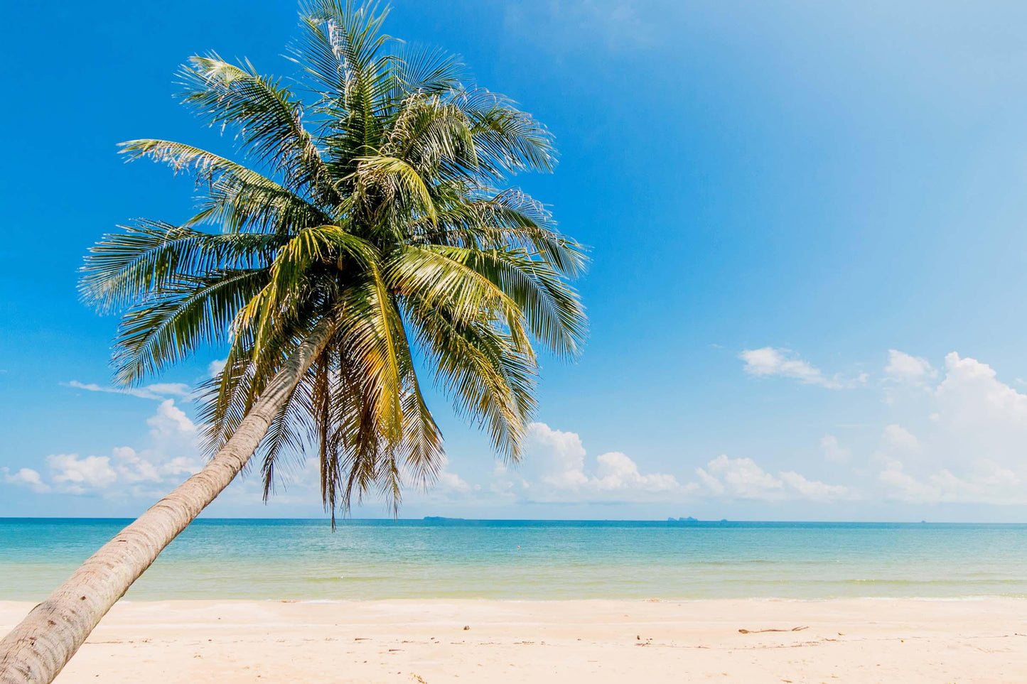 3D Blue Sea Beach Palm Tree Quilt Cover Set Bedding Set Pillowcases 32