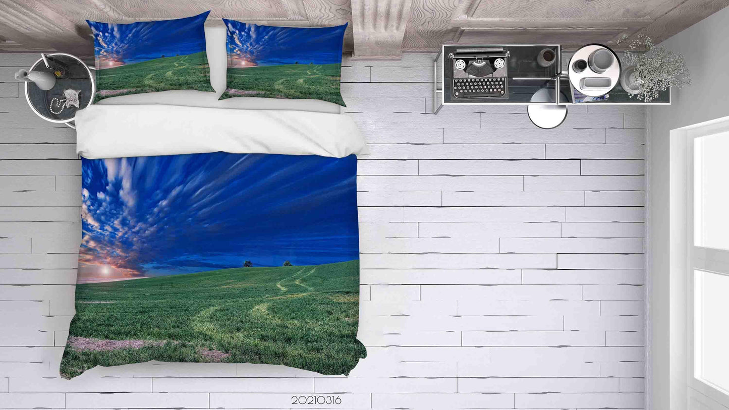 3D Blue Sky Grassland Landscape Quilt Cover Set Bedding Set Duvet Cover Pillowcases 154