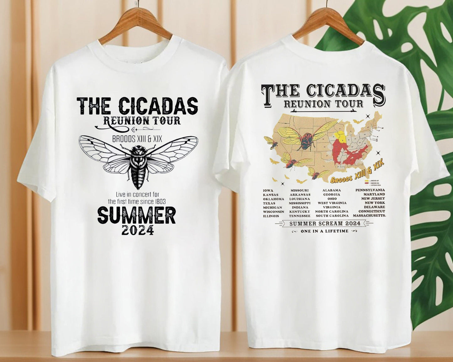 Cicada Brood 2024 Shirt, Cicada Reunion Summer 2024 Tour Shirt