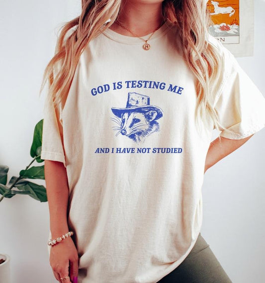 God Is Testing Me, Possum T Shirt, Weird Opossum T Shirt, Meme T Shirt, Trash Panda T Shirt, Unisex  T-shirt, sweater and Hoodie