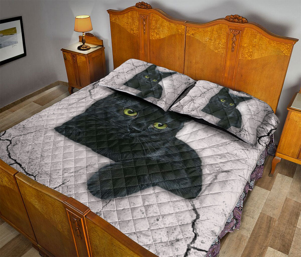 Black Cat,Cat Quilt Set, Black Cat Quilt Blanket With Pillowcases, Quilt Bedding Set