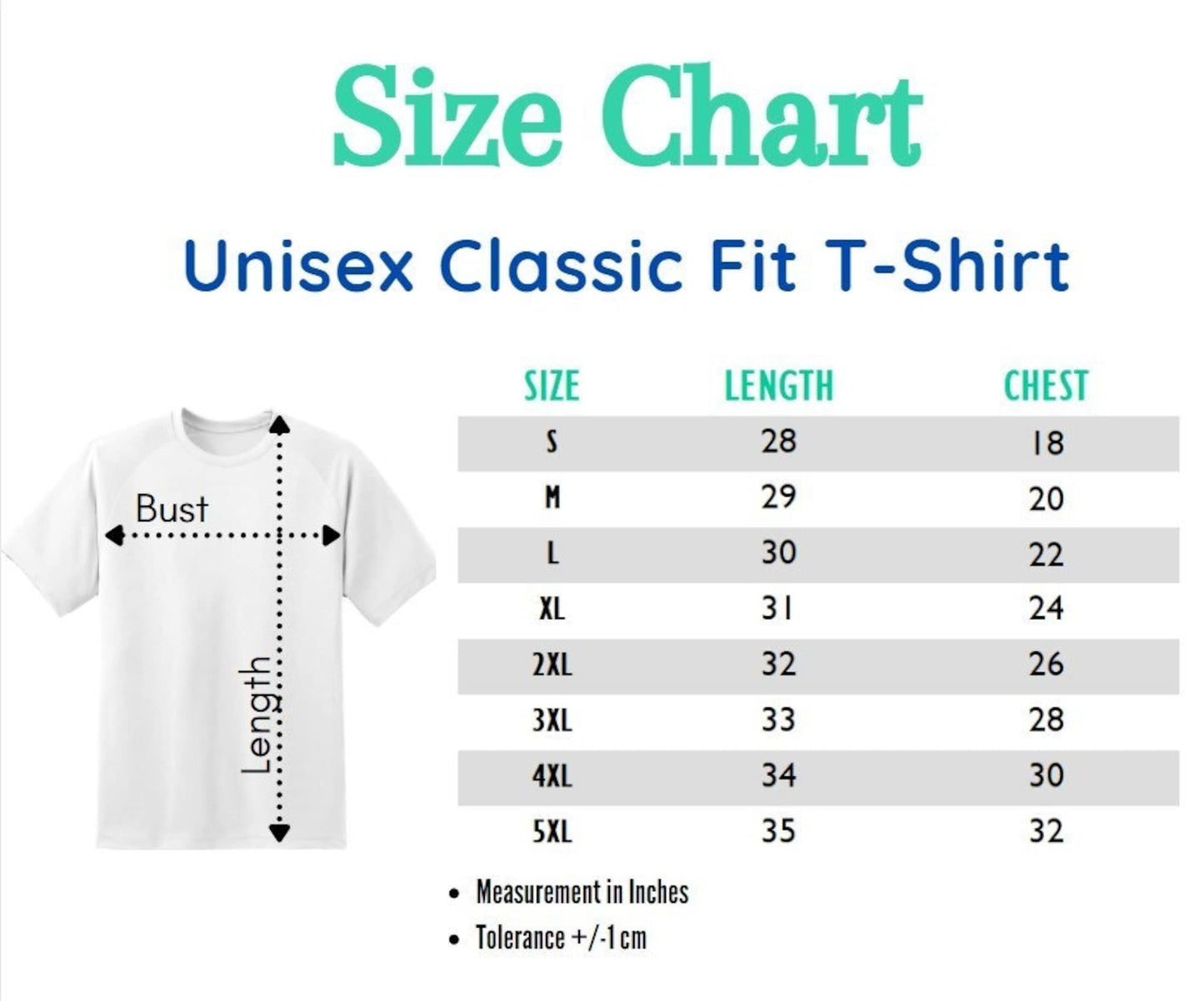 Vintage 1993 Steely Dan Summer Tour T-Shirt,