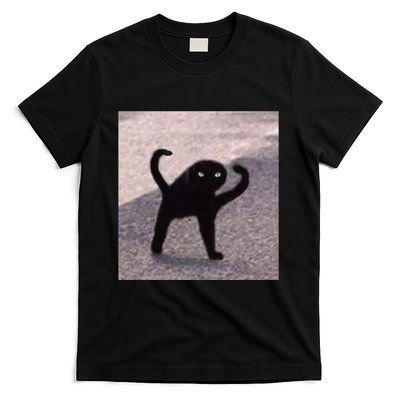 Cursed Cat Memes Cursed Cat Angry As Fuk Meme T-Shirt