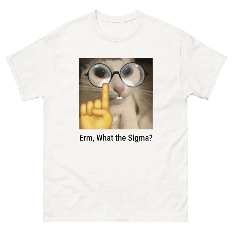 Erm, What the Sigma, Meme T-Shirt, Funny T-Shirt Menswear Top