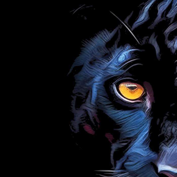 Black Panther Animal T-Shirt Chadwick Boseman Forever Tribute Tee Cotton Menswear