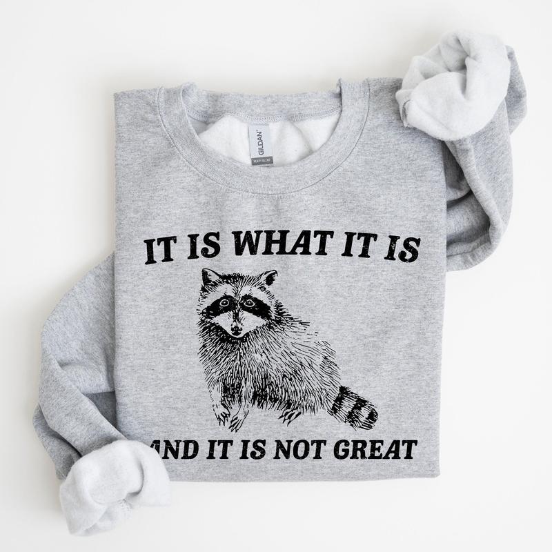 It Is What It Is And It Is Not Great, Raccoon, Trash Panda, Funny, Meme, Sweatshirt