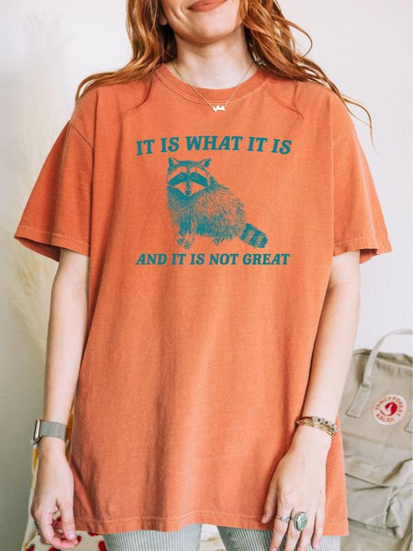 It Is What It Is And It Is Not Great Shirt, Vintage Raccoon shirt, Raccoon Mental Health Tee, Unisex T-shirt, Gift for Him, Gift for Her, Crew Neck, T
