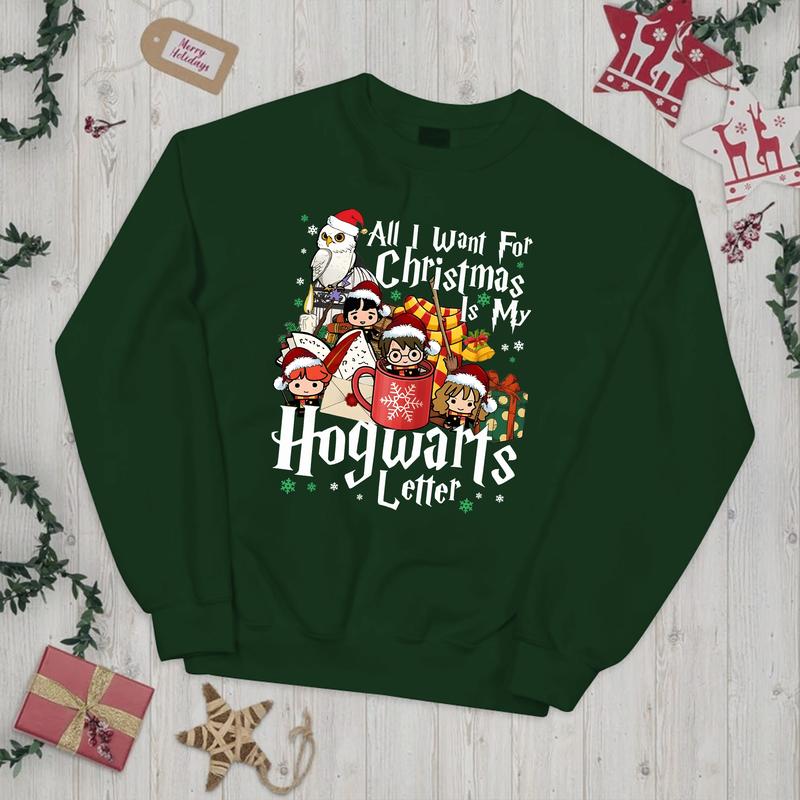 HP All I Want For Chritmas Is Hogwarts Letter Sweatshirt, Hogwarts T-Shirt, Harry  Hoodie Check Cotton Fit