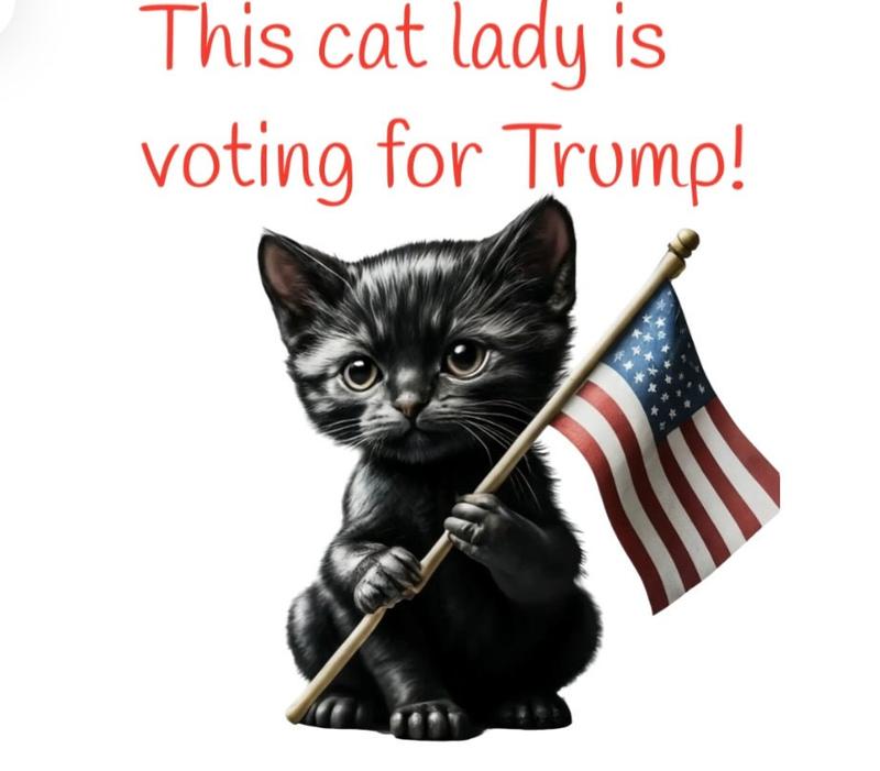 This Cat Lady is Voting for Trump Shirt, Donald Trump Support, Anti Kamala Harris, US Election 2024, Trump Rally Tshirt, Political Apparel