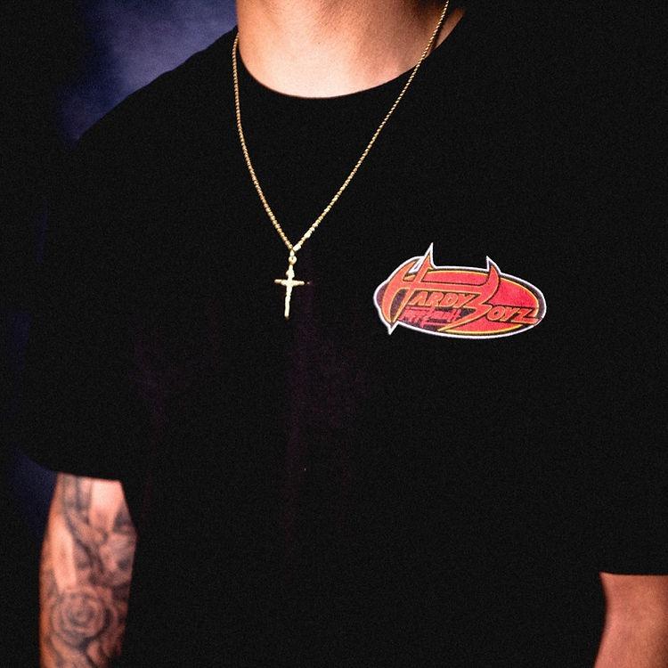 HARDY BOYZ TEE, Wrestling Tee, WWE Tee, Wrestling Gift, Sports Shirt, Workout T-shirt, Gift for Him Gift For Her Hoodie Sweatshirt Streetwear