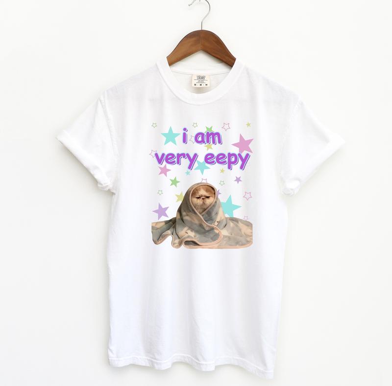 eepy Cat Funny Shirt, Meme Comfort Colors T-Shirt