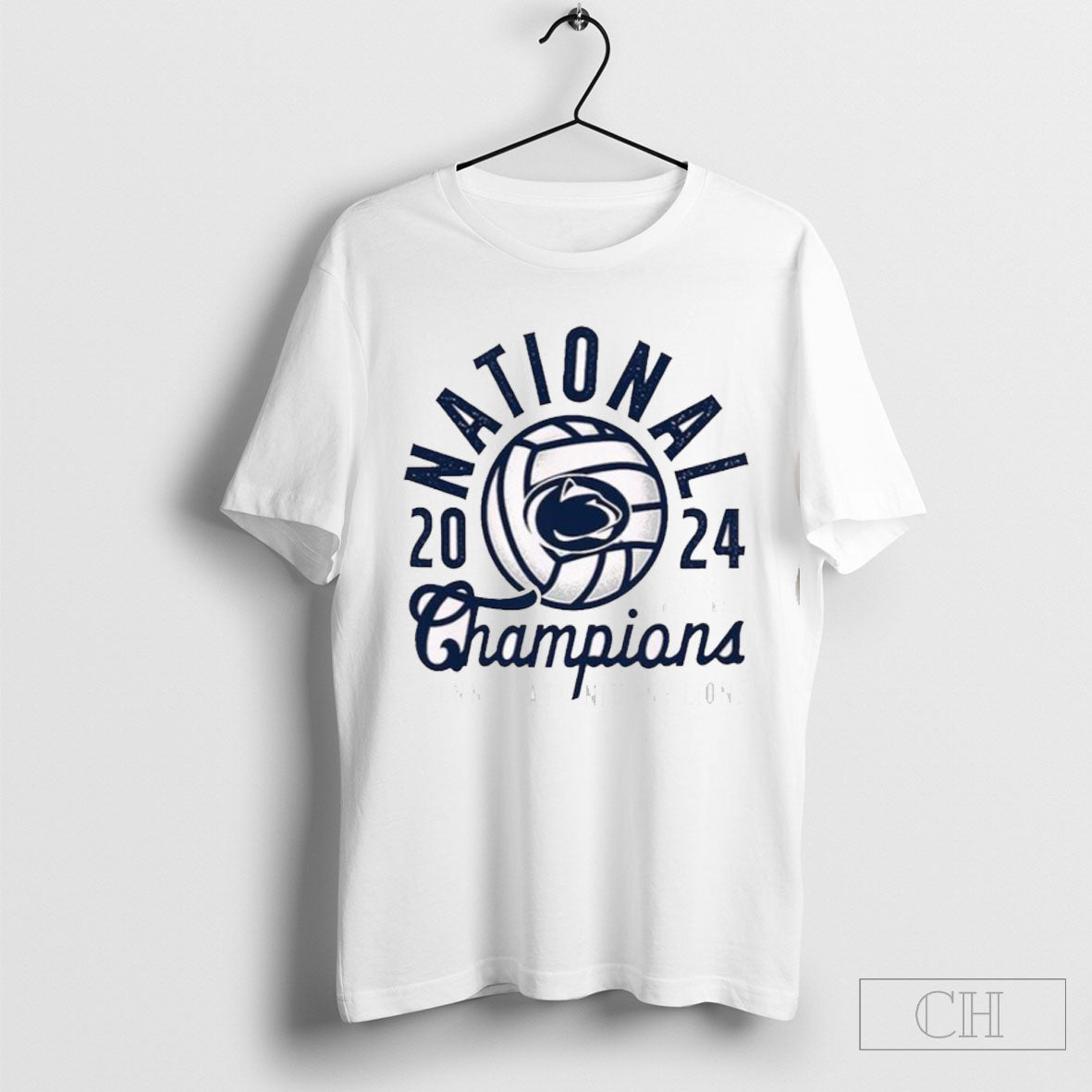 Penn State Nittany Lions 2024 Ncaa Womens Volleyball National Champions Comfort Colors