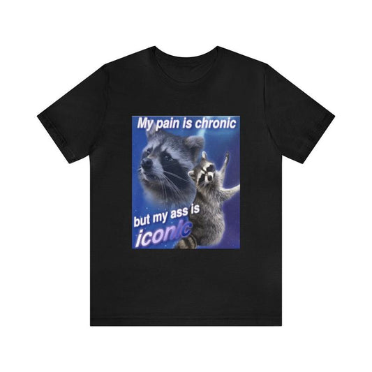 My Pain Is Chronic Funny Meme Shirt - Parody Tees Gift Funny Meme Tee Raccoon Humor Quirky and Unique Apparel