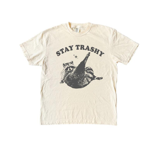 Stay Trashy Raccoon T Shirt, Cool T Shirt, TIktok Shirts