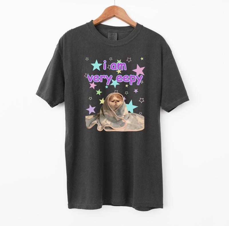 eepy Cat Funny Shirt, Meme Comfort Colors T-Shirt