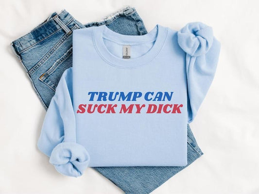 Kamala Harris Fvck Trump 2024 Election Sweatshirt, I Didn't Vote For Him, Election 2024, Anti-Trump, Democracy, Liberal, Kamla Voter