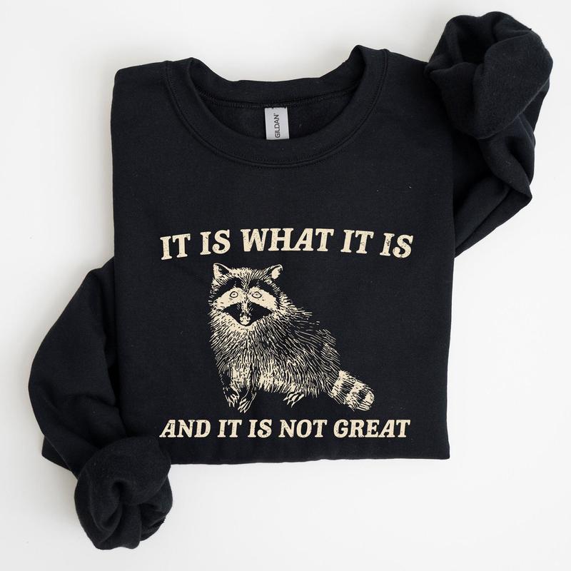 It Is What It Is And It Is Not Great, Raccoon, Funny, Aesthetic Sweatshirt