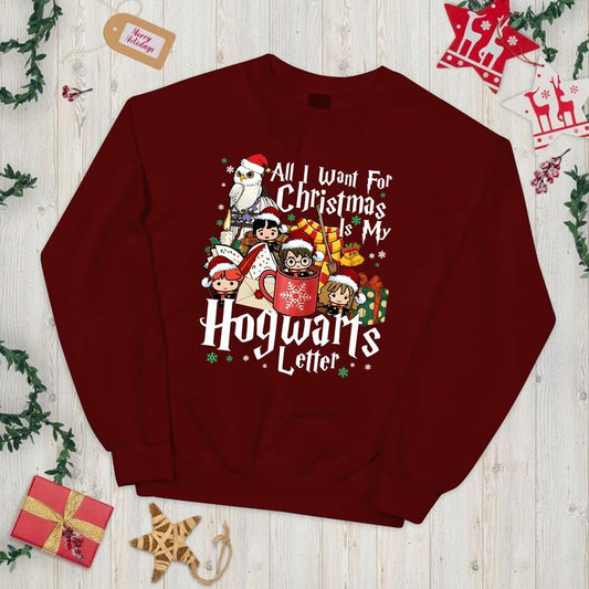 HP All I Want For Chritmas Is Hogwarts Letter Sweatshirt, Hogwarts T-Shirt, Harry  Hoodie Check Cotton Fit