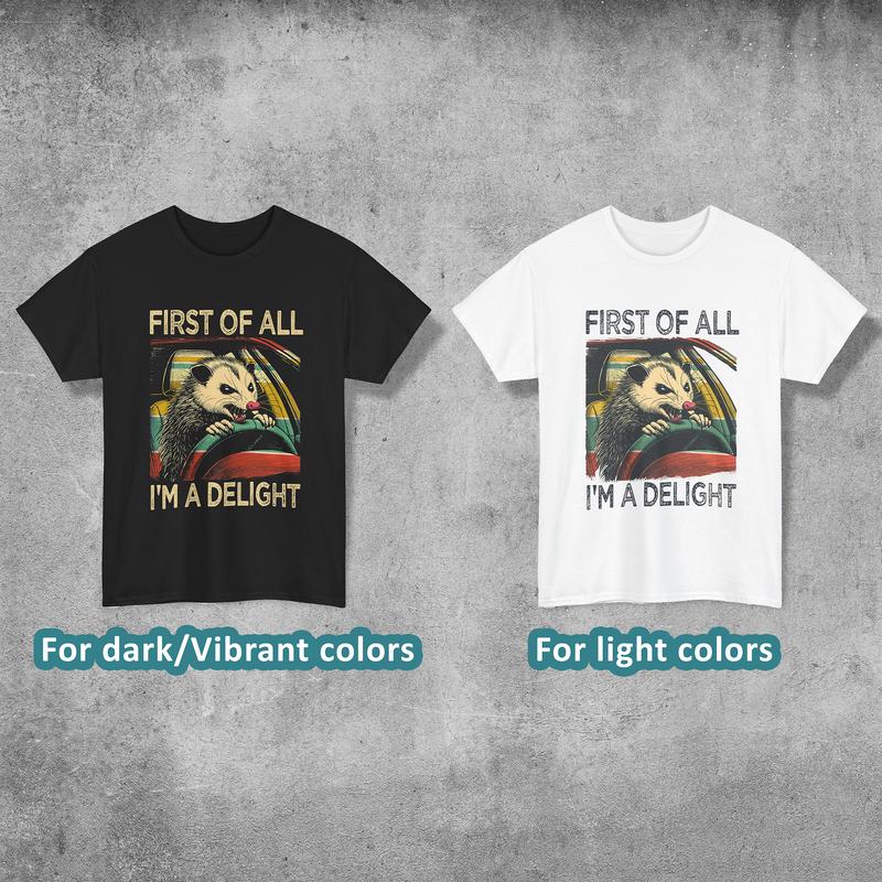 First Of All I'm A Delight Shirt, 4 Styles to Choose, Cute and Sarcastic T-shirt, Angry Possum Lover Tee, Perfect for Raccoon Lovers, Gift for HimHer,