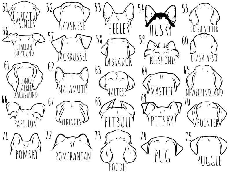 Custom Dog Mama Sweatshirt, Personalized Dog Sweatshirt with Name, Custom Dog Name Sweatshirt, Dog Dad Gift, Custom Pet Gift, Pet Name Shirt