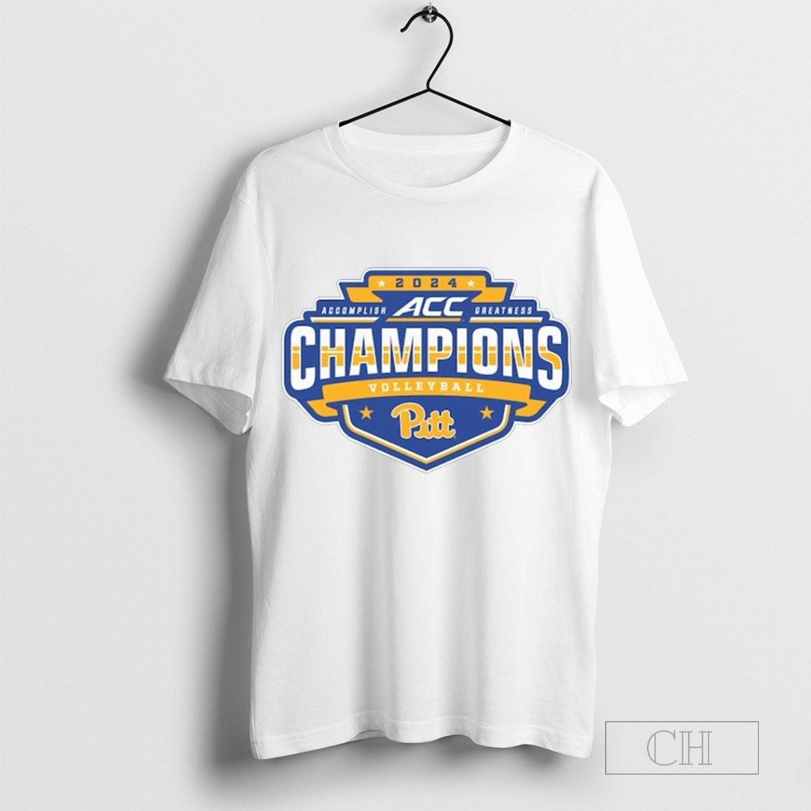 Pitt Panthers 2024 Accomplish Greatness Champions ACC Womenâ€™s Volleyball Regular Season Champions t-shirt