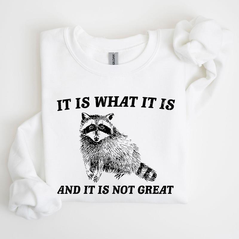 It Is What It Is And It Is Not Great, Raccoon, Trash Panda, Funny, Meme, Sweatshirt