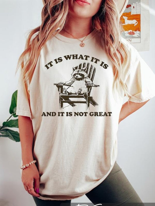 It is What It is and It is Not Great Shirt, Funny Raccoon Shirt, Retro 90s Graphic T-Shirt Sweatshirt Hoodie, Raccoon Meme Shirt, Meme Graphic Tees, G