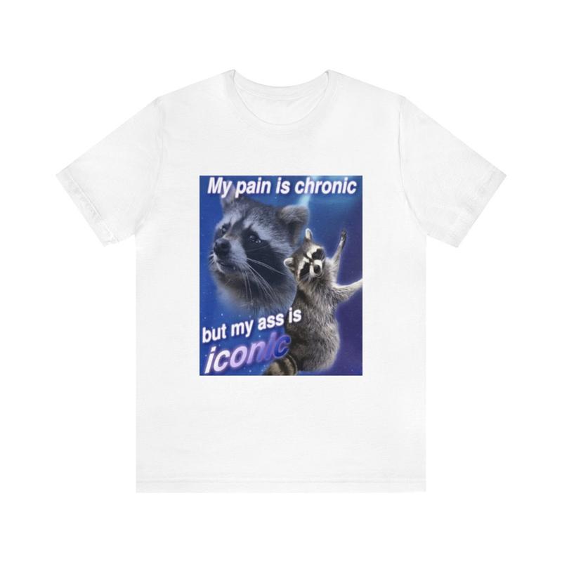 My Pain Is Chronic Funny Meme Shirt - Parody Tees Gift Funny Meme Tee Raccoon Humor Quirky and Unique Apparel