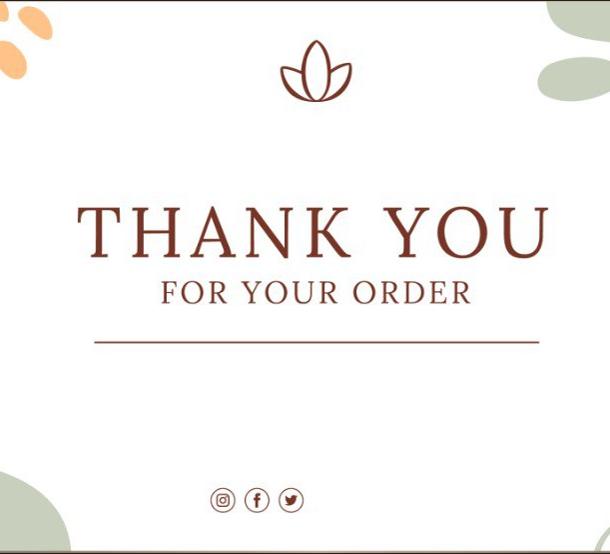 Vintage Philadelphiiaa Football tshirt, Sundays are for the Birds Tshirt