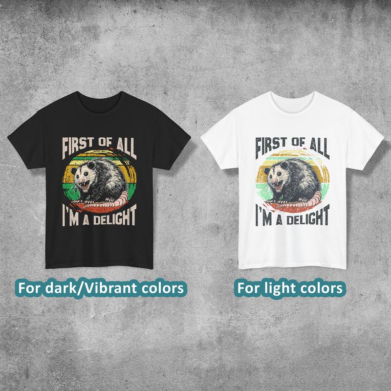First Of All I'm A Delight Shirt, 4 Styles to Choose, Cute and Sarcastic T-shirt, Angry Possum Lover Tee, Perfect for Raccoon Lovers, Gift for HimHer,