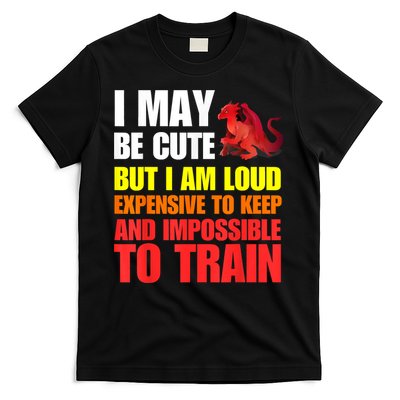 Funny Fantasy Tabletop RPG Gamer Graphic T-Shirt