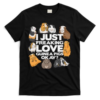 Guinea Pig Guinea Pig Lover Tee Funny Guinea Pig T-Shirt