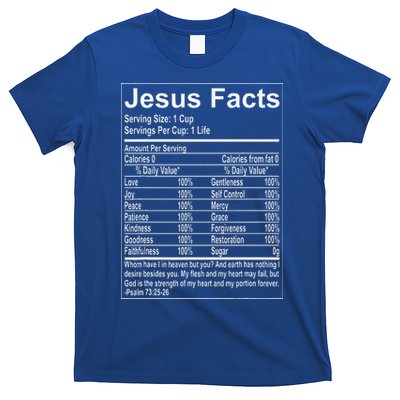 Jesus Facts Religious Studies Catholicism T-Shirt