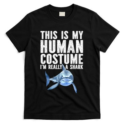 Shark Lover Funny Shark Sea Animals Shark T-Shirt