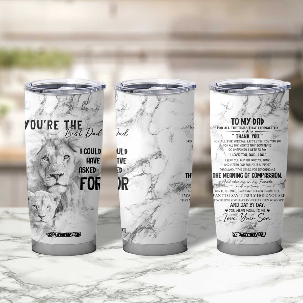 Christmas Gifts for Dad Tumbler Cup Lion Father and Son Fathers Day TB10
